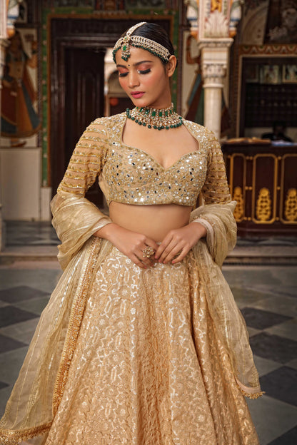 Beige Net Woven Geometric Pattern Lehenga Set(ba2)