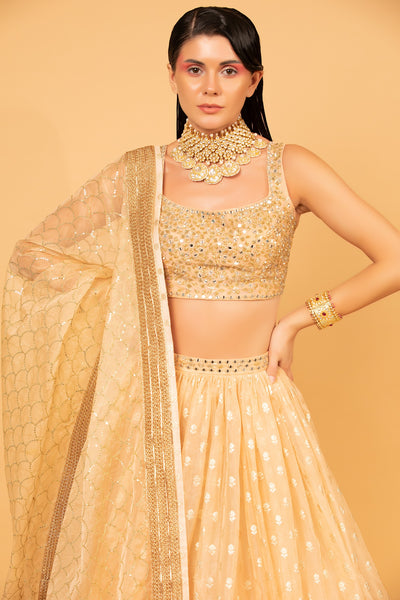 Peach Banarasi Organza Lehenga Set