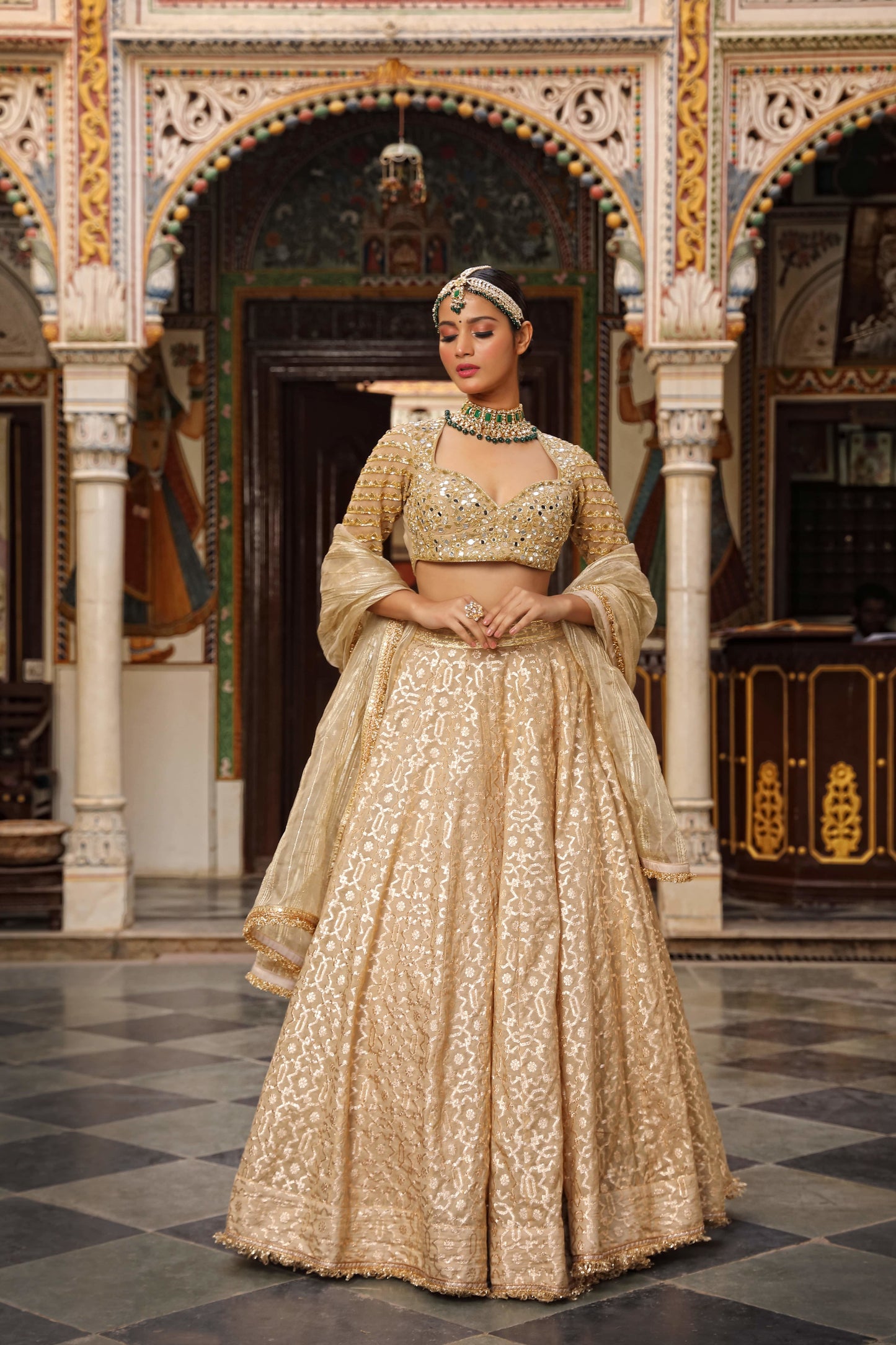 Beige Net Woven Geometric Pattern Lehenga Set(ba2)