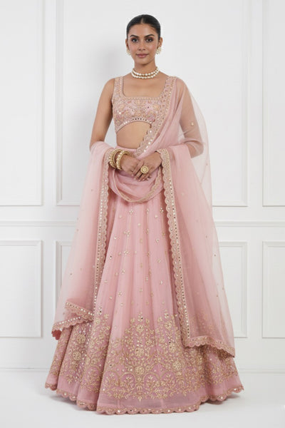 Blush Lehenga Set