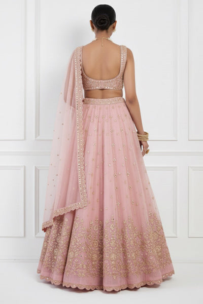Blush Lehenga Set