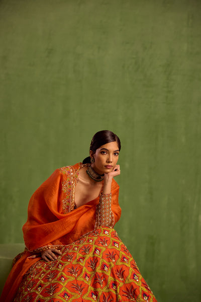 Orange Viscose Raw Silk Embellished Floral Geometric Mughal Printed Lehenga Set