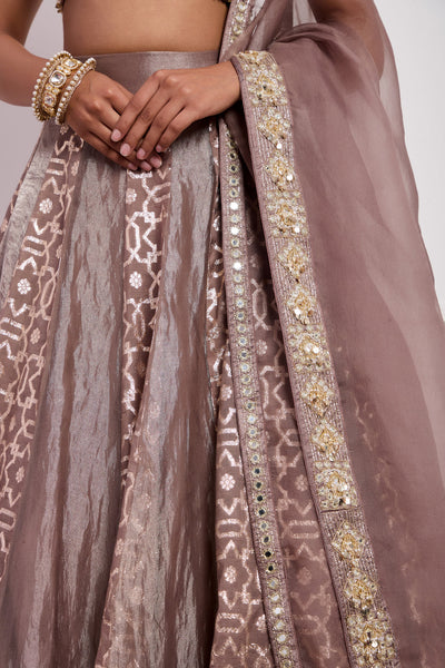 Mocha Mouse Lehenga Set