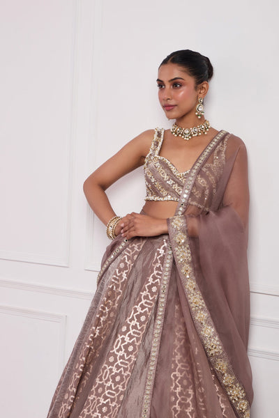 Mocha Mouse Lehenga Set