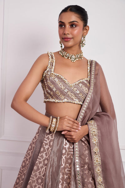 Mocha Mouse Lehenga Set