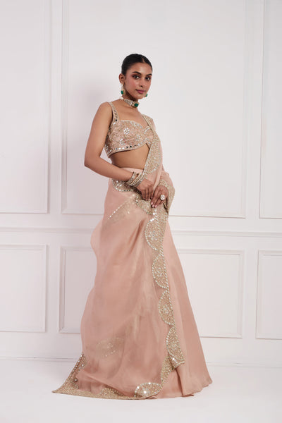 Blush Pink Fish Cut Lehenga Set