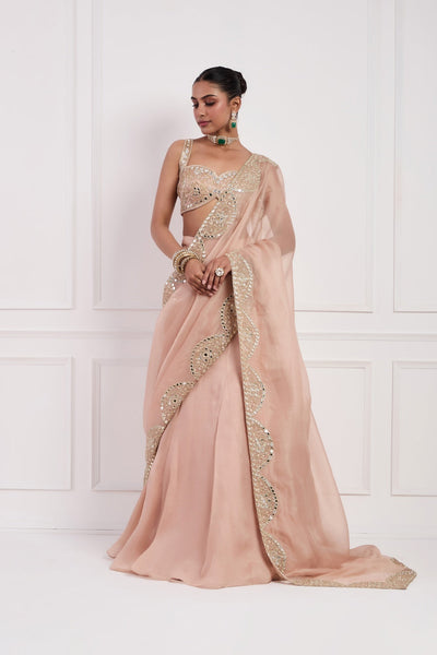 Blush Pink Fish Cut Lehenga Set