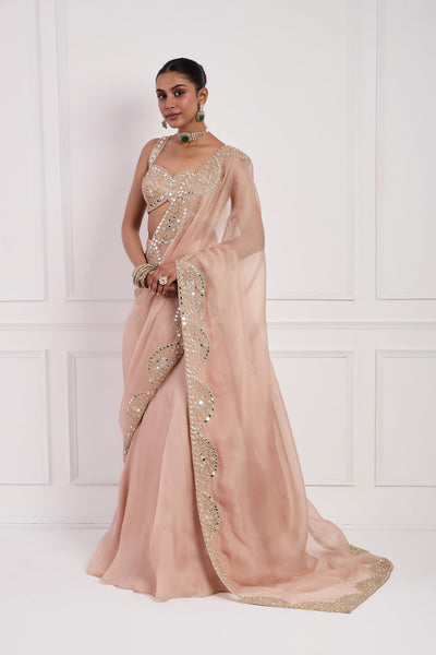 Blush Pink Fish Cut Lehenga Set