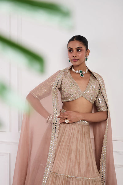 Blush Pink Tissue Lehenga Set