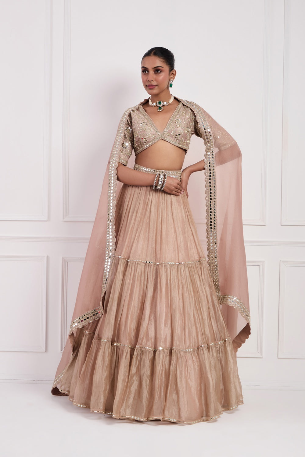 Blush Pink Tissue Lehenga Set