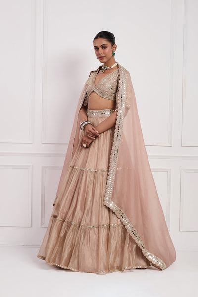 Blush Pink Tissue Lehenga Set