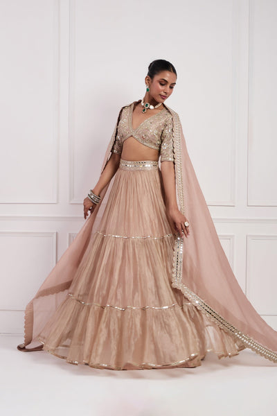 Blush Pink Tissue Lehenga Set