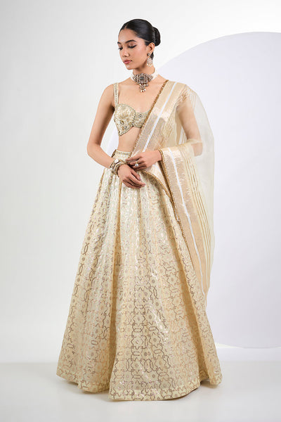 Ivory Banarasi lehenga with hand embroidered blouse and Dupatta