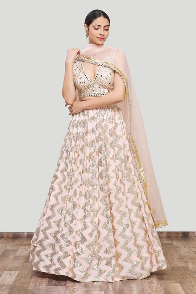 Pink Embroidered Lehenga Set