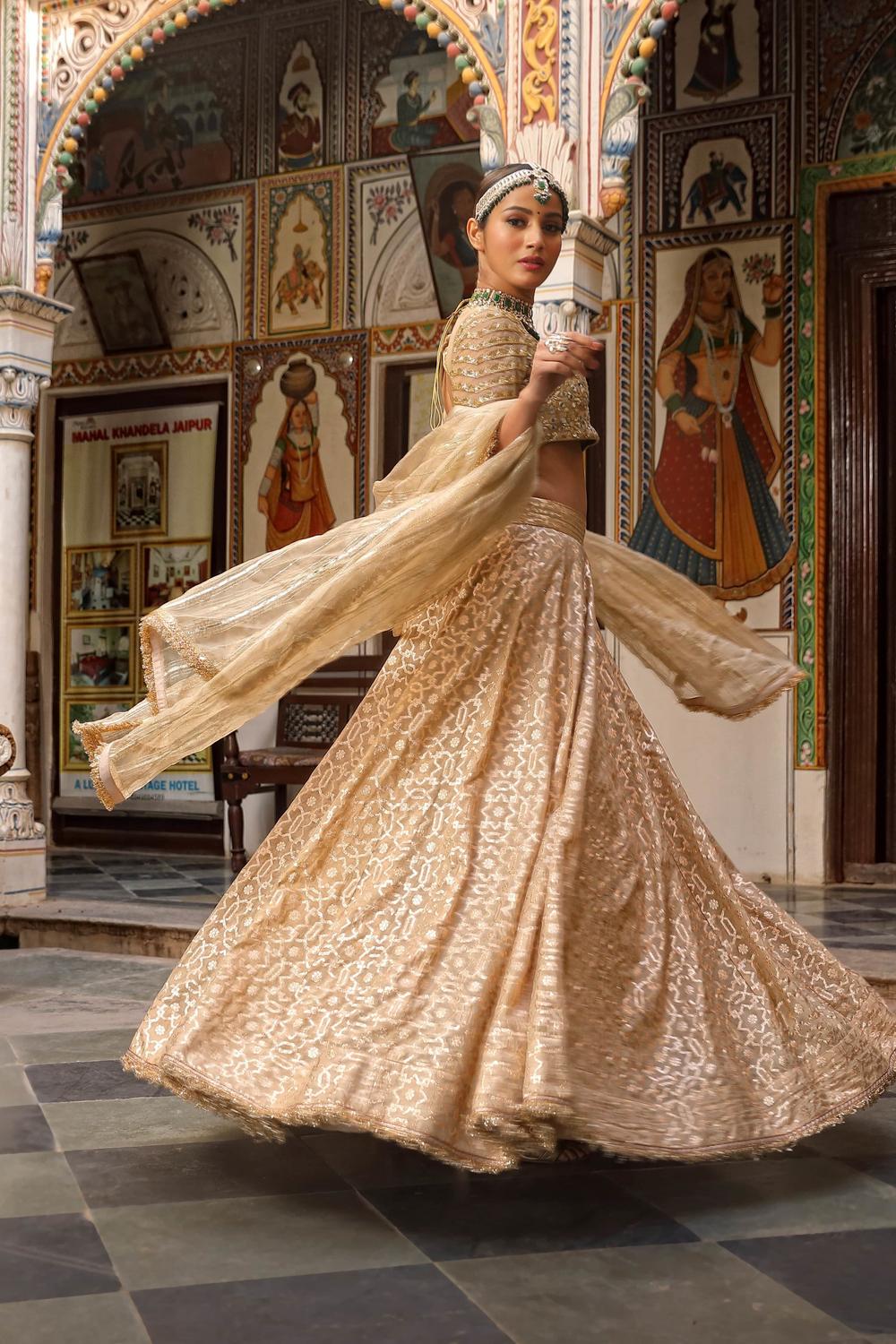 Beige Net Woven Geometric Pattern Lehenga Set(ba2)