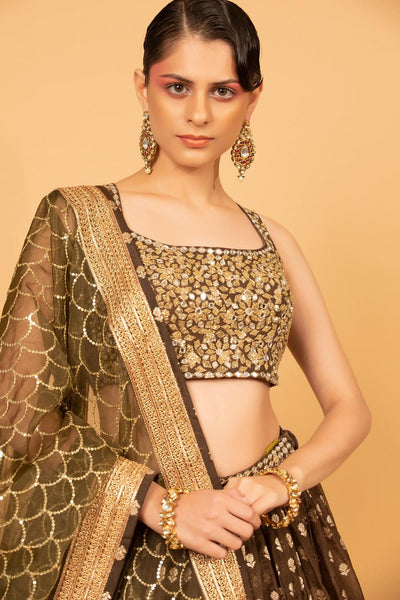 Brown Banarasi Organza Lehenga Set