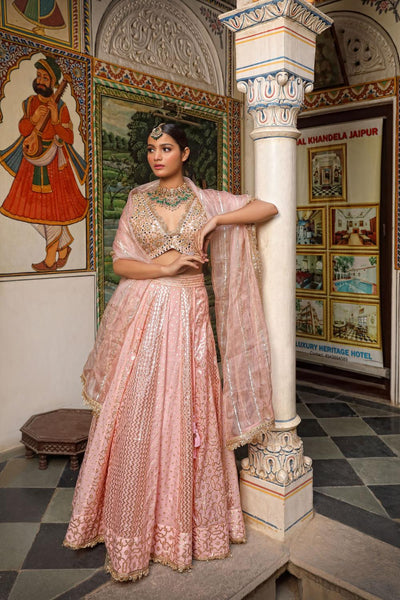 Pink Net Woven Pattern Flared Lehenga Set