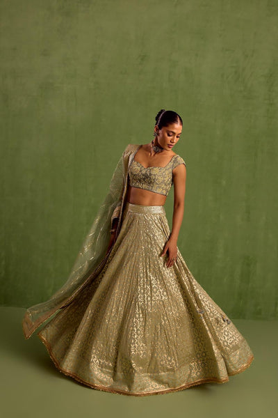 Green Banarasi Chanderi Woven Geometric Sweetheart Jaal Lehenga Set