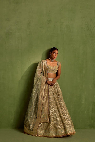 Green Banarasi Chanderi Woven Geometric Sweetheart Jaal Lehenga Set