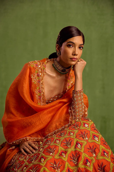 Orange Viscose Raw Silk Embellished Floral Geometric Mughal Printed Lehenga Set