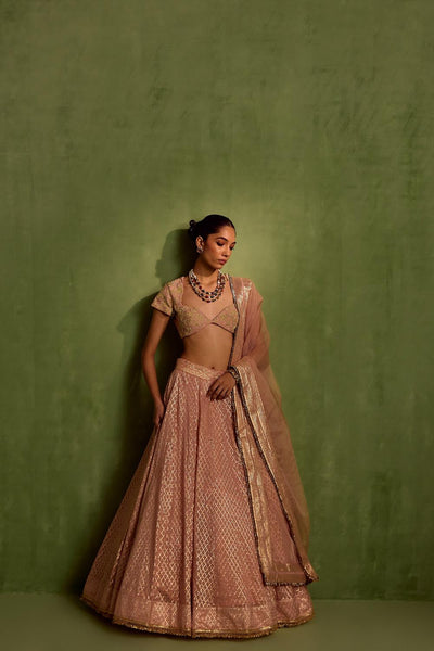 Pink Banarasi Chanderi Woven Geometric V-neck Jaal Lehenga Set