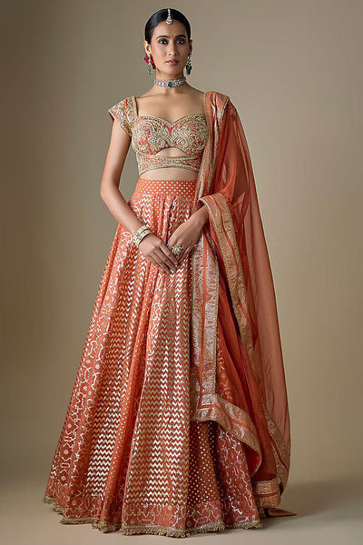 Rust Banarasi Chanderi Embroidered Lehenga Set