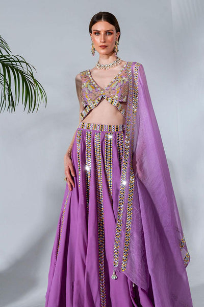 Lilac panelled lehenga with mirror and thread embroidery (NA)